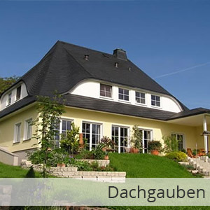dachgauben